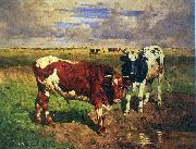 unknow artist, Young bulls at a watering place